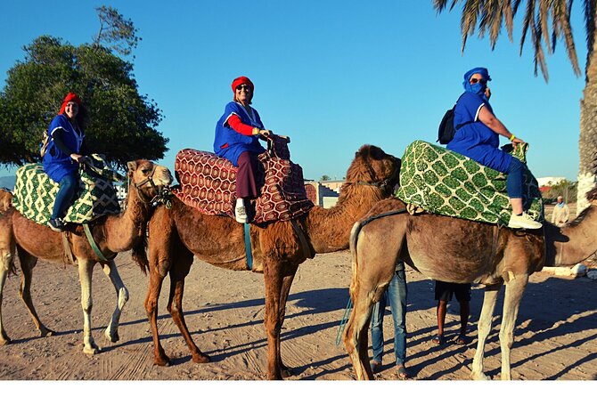 Sunset camel ride and barbecue dinner in Agadir - The Ride Through Aghroud Bensergao and Eucalyptus Trails