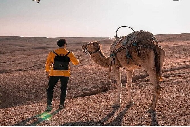 Sunset & Camel Ride & Dinner in Desert Agafay Marrakech - Camel Ride at Sunset: The Part You’ll Remember