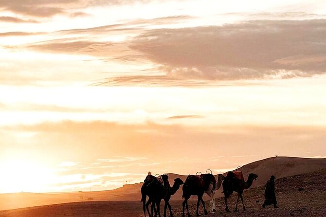 Sunset & Camel Ride & Dinner in Desert Agafay Marrakech - Local Music and Campfire Energy: The Entertainment Layer
