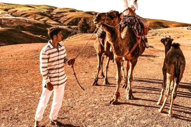 Sunset & Camel Ride & Dinner in Desert Agafay Marrakech - The 16:30 Pickup and Drive Out: What the Evening Feels Like