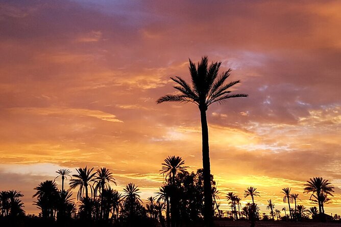 Sunset Camel Ride in Agadir or Taghazout With Transfers - Picking Your Camel: First-Timer Comfort Matters