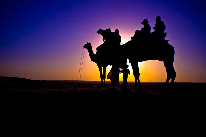 Sunset Camel Ride in Agadir or Taghazout With Transfers - The Sway Along Eucalyptus and the Souss River