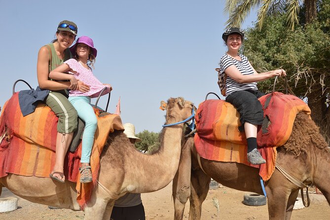 Sunset Camel Ride in Agadir or Taghazout With Transfers - Price and Value: $17.68 for a Short Ride That Adds Up