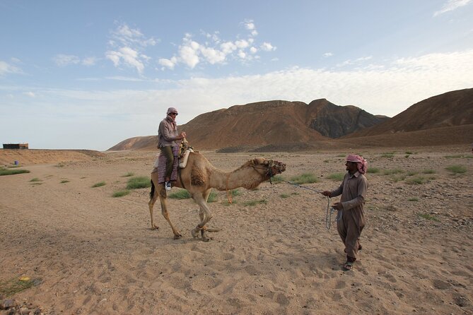 Sunset Camel Ride in Agadir or Taghazout With Transfers - Animal Welfare: What to Watch, What to Ask