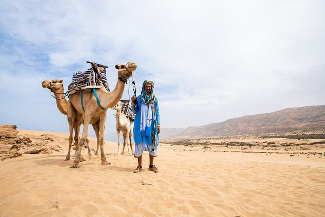 Sunset Camel Ride in Agadir with Dinner in Habitant House - Key highlights to look for