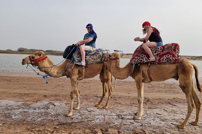 Sunset Camel Ride in Agadir with Dinner in Habitant House - Royal palace views you can actually spot