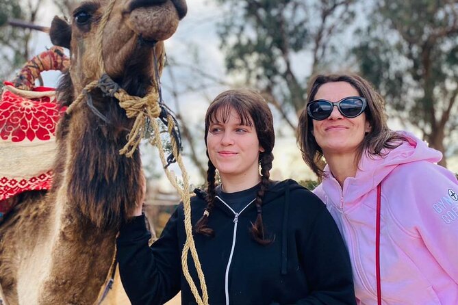 Sunset Camel Ride in Agadir with Dinner in Habitant House - Wildlife odds: flamingos and migratory birds