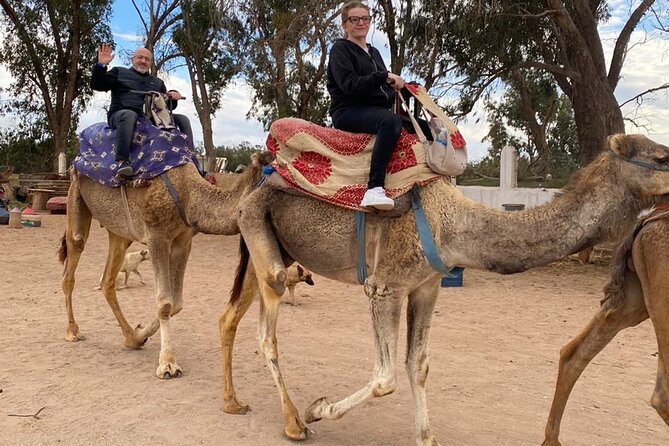 Sunset Camel Ride in Agadir with Dinner in Habitant House - Tea break at the ranch: mint tea and snacks