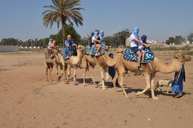Sunset camel ride in Agadir with transport, tea and cakes. - Key things that make this ride worth it