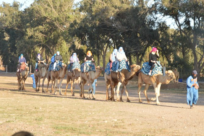 Sunset camel ride in Agadir with transport, tea and cakes. - Why the 6:30 pm timing feels smarter than most Agadir tours