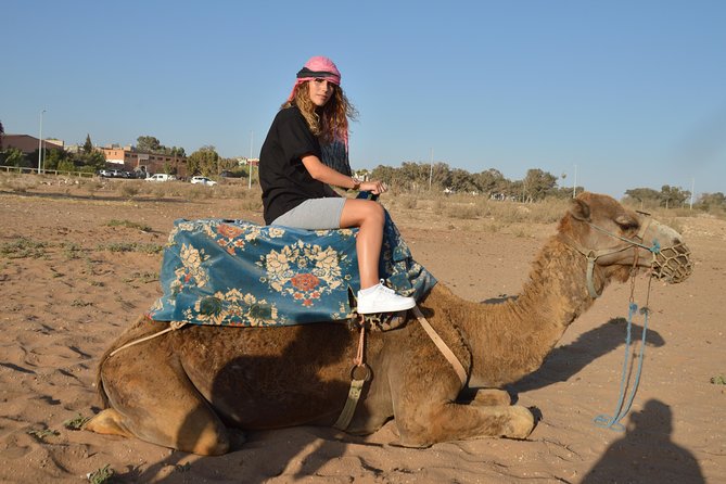 Sunset camel ride in Agadir with transport, tea and cakes. - The ride begins through Aghroud Bensergao and an eucalyptus forest