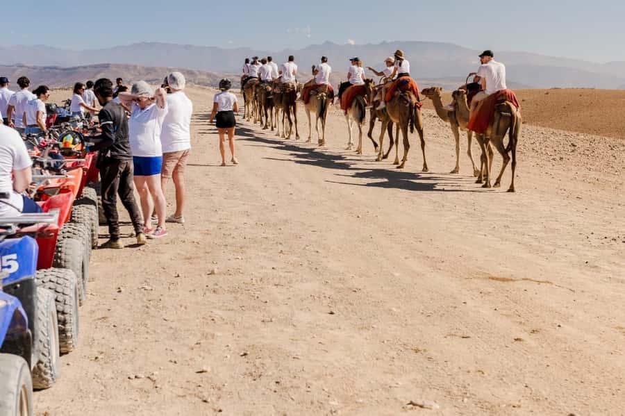 Sunset Camel Ride in Agafay Desert with dinner and pool - Camel Handling and the 1-Hour Ride: Photos, Pace, and Comfort