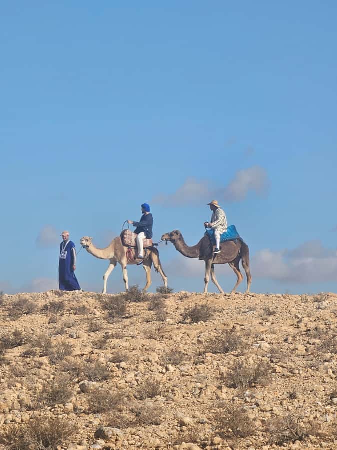 Sunset Camel Ride in Agafay Desert with dinner and pool - Desert Pool Swim at Sunset: When the Hills Change Color