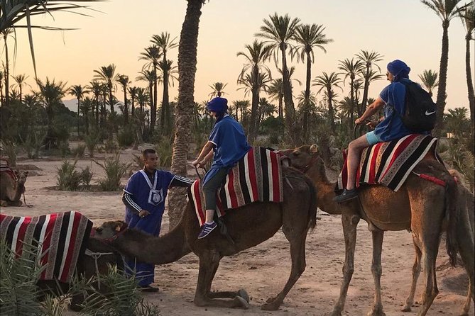 Sunset Camel Ride In Marrakech Palm Grove - Touareg Scarves, Camel Basics, and the Palm Grove Ride