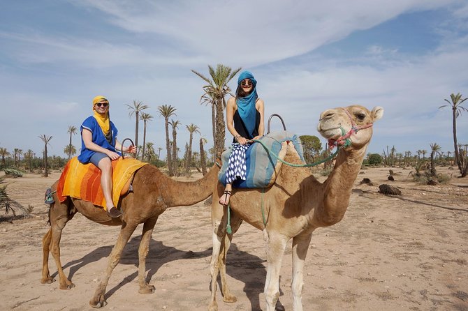 Sunset Camel Ride In Marrakech Palm Grove - Safety, Comfort, and Common-Sense Tips for a Sunset Ride