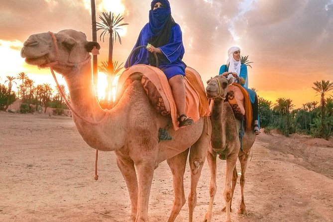 Sunset Camel Ride In Marrakech Palm Grove - Who This Tour Fits Best (and Who Should Ask First)