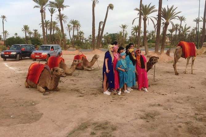 Sunset Camel Ride In Marrakech Palm Grove - Hotel Pickup and Air-Conditioned Drive: The Easy Start