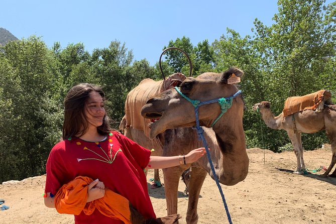 Sunset Camel Ride in the Palm Groves of Marrakech - Key Things You’ll Notice Right Away
