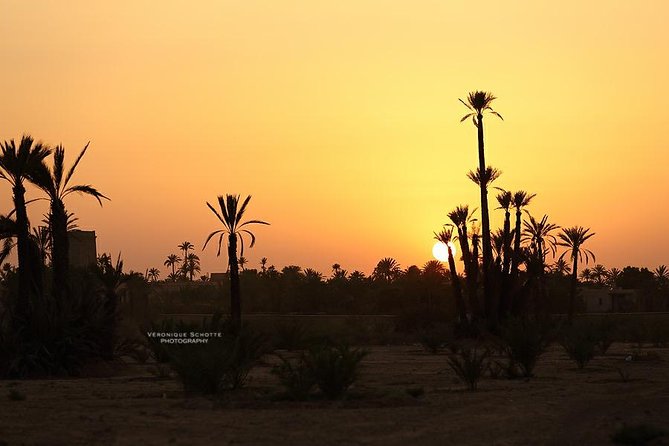 Sunset Camel Ride in the Palm Groves of Marrakech - Getting Collected in Marrakech: Pickup, 4x4, and Small-Group Comfort