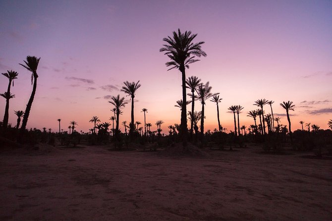 Sunset Camel Ride in the Palm Groves of Marrakech - The Camel Ride at Sunset: What That 1-Hour Block Feels Like