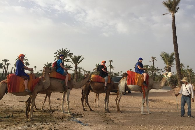 Sunset Camel Ride in the Palm Groves of Marrakech - The Tagelmust and Gandoura Moment (Yes, It Matters)
