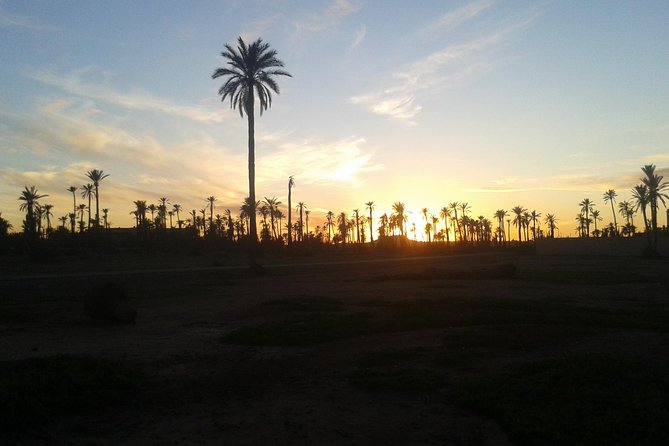 Sunset Camel Ride Marrakech with Transfers - Key things that make this camel ride worth your evening