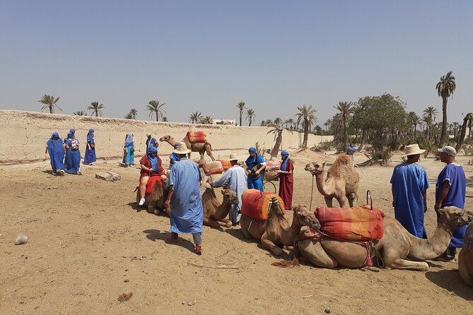 Sunset Camel Ride Marrakech with Transfers - The 1-hour sunset camel ride through the Palmeraie