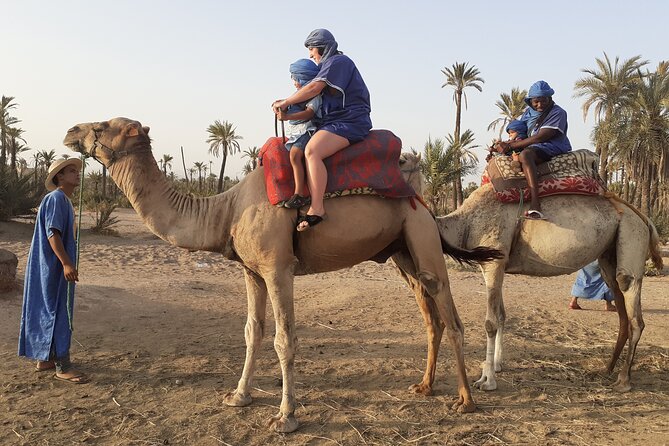 Sunset Camel Ride Marrakech with Transfers - Mint tea with Berbers: the stop that makes it feel human