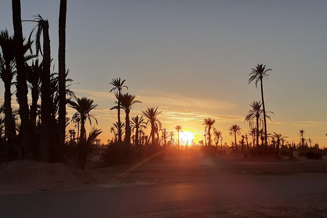 Sunset Camel Ride Marrakech with Transfers - Who should book this and who might want to skip it