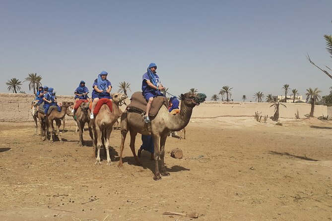 Sunset Camel Ride Marrakech with Transfers - Should you book the Sunset Camel Ride with Transfers?