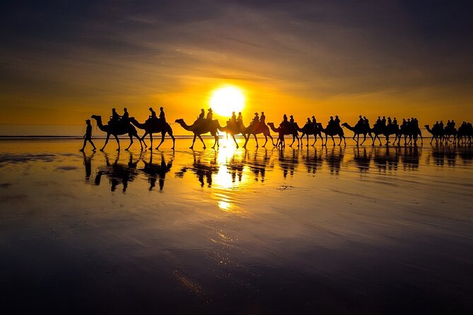 Sunset Camel Ride on Achakkar Beach - Key things to know before you go