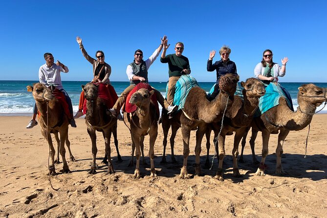 Sunset Camel Ride on Achakkar Beach - Dinner in the Medina area: Moroccan food with locals, not a performance