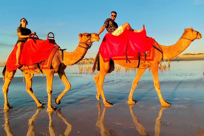 Sunset Camel Ride on Achakkar Beach - Price and what you actually get for $116.15