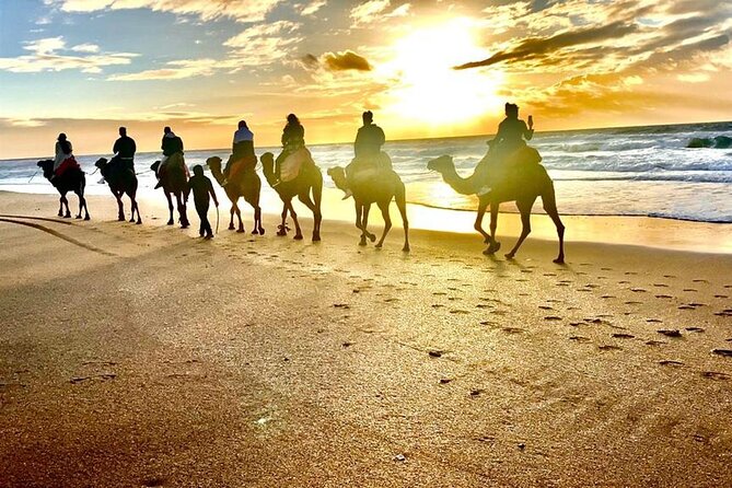 Sunset Camel Ride on Achakkar Beach including Traditional Dinner - Tangier at 5:30 pm: why this sunset timing works