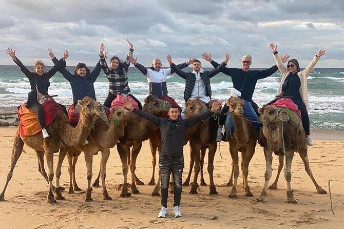 Sunset Camel Ride on Achakkar Beach including Traditional Dinner - Parc Perdicaris at sunset: where dinner starts after the walk