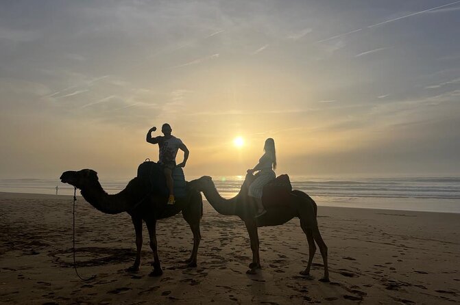 Sunset Camel Ride on Achakkar Beach including Traditional Dinner - Price and what you’re really paying for (at $92.92)