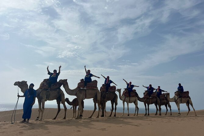 Sunset Camel Ride tour with Barbecue dinner in the beach - Key Highlights to Know Before You Go