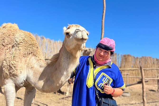 Sunset Camel Ride tour with Barbecue dinner in the beach - What It Feels Like on a Camel: Comfort, Photos, and Getting Your Timing Right