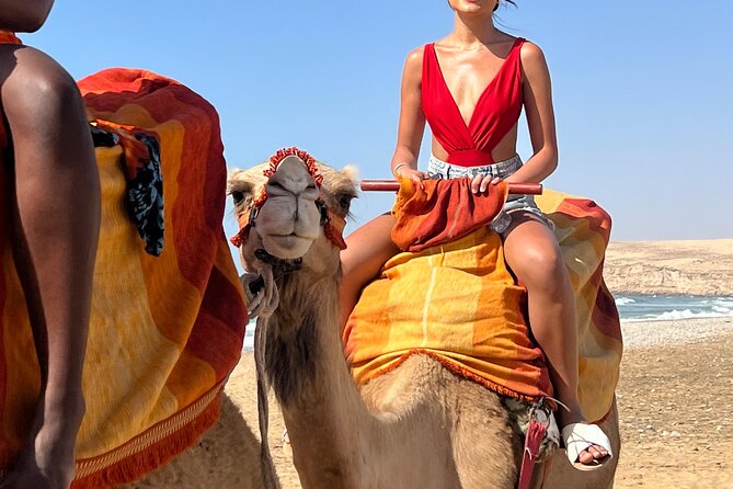 Sunset Camel Ride tour with Barbecue dinner in the beach - Group Size and the Social Feel: Better Than a Mega-Tour