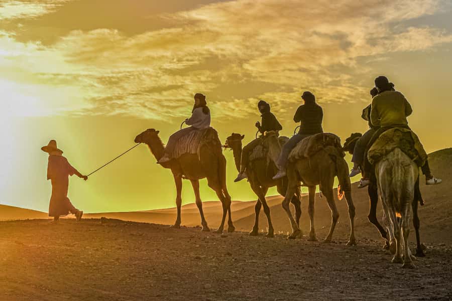 Sunset Camel Ride with an Authentic Dinner in an Oasis - Key Things You’ll Notice Right Away