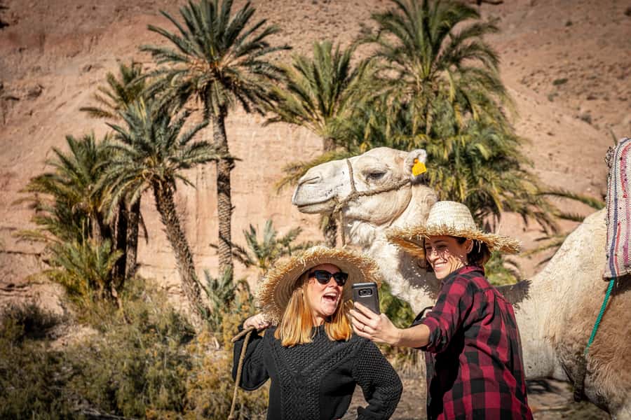 Sunset Camel Ride with an Authentic Dinner in an Oasis - Marrakech Pickup, Then Straight To the Quiet Outside the City
