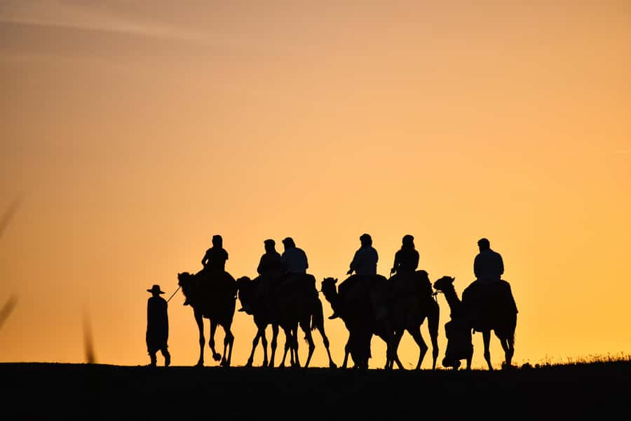 Sunset Camel Ride with an Authentic Dinner in an Oasis - The Bedouin-Tent Dinner: Tajine, Salads, Pastries, Plus Welcome Tea