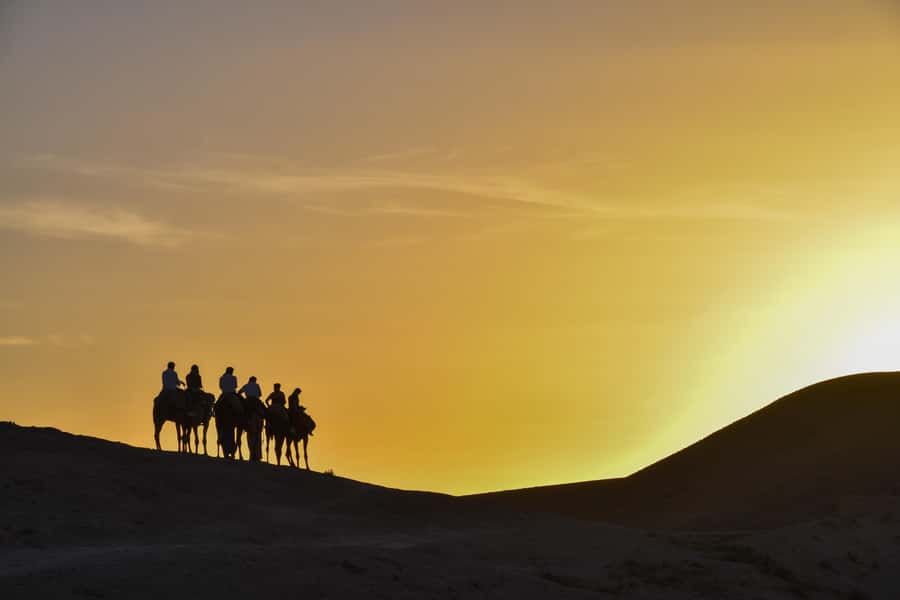 Sunset Camel Ride with an Authentic Dinner in an Oasis - The 1.5-Hour Camel Trek: Palm Trees, Dry Riverbeds, Village Paths
