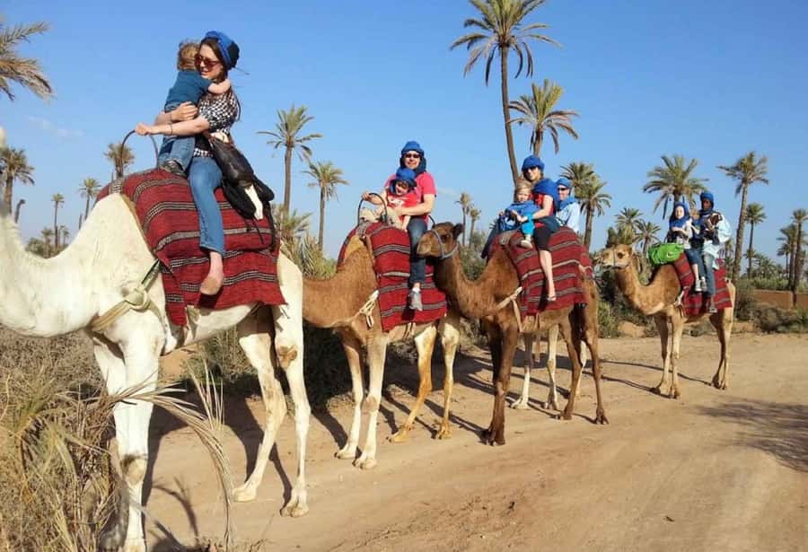 Sunset Camel Riding Including BBQ Dinner & Hotel Transfers - Hotel Pickup and the Drive Into the Evening Start