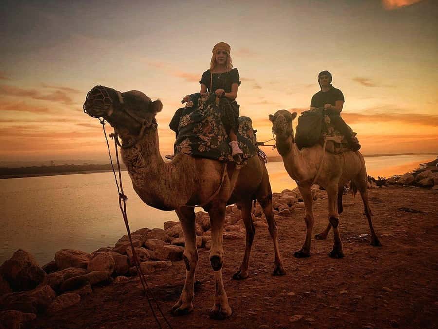 Sunset Camel Riding Including BBQ Dinner & Hotel Transfers - The Sunset Camel Ride on the Souss River (What You’re Really Booking)