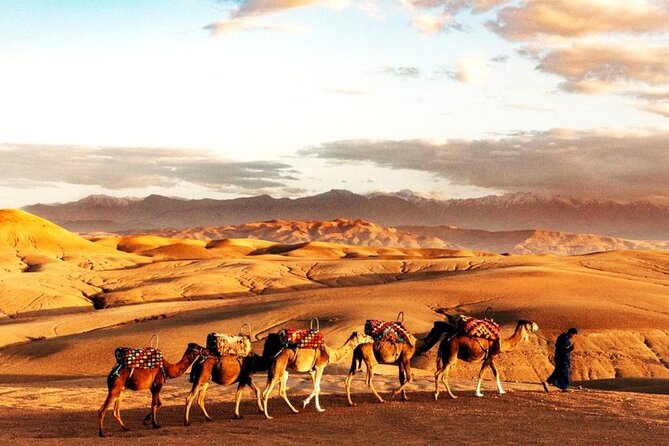 Sunset Dinner in Marrakech Desert with Quad bike - Key highlights you will feel right away