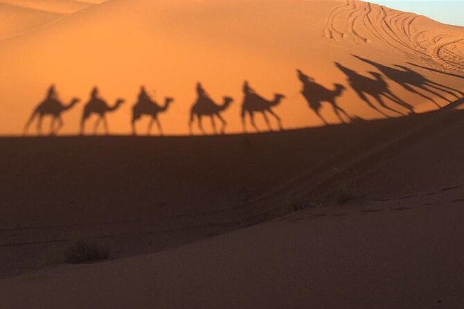 Sunset in Merzouga Sahara Desert & Camel Ride Erg Chebbi Dunes - Meeting at Kasbah Mohayut in Hassilabied: Get Started Smoothly