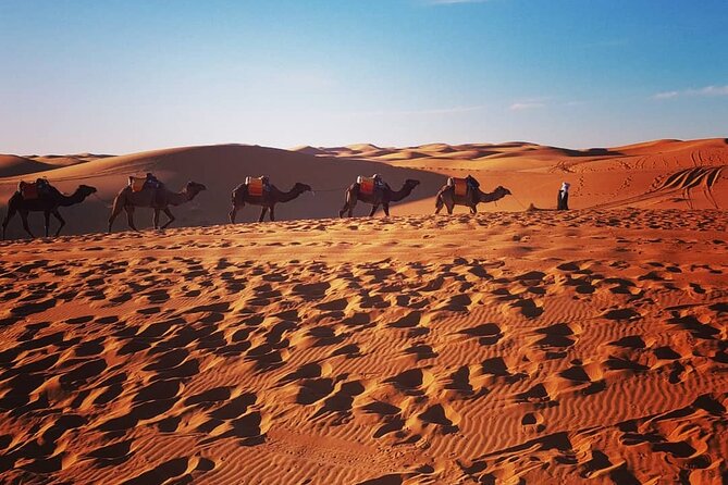 Sunset in Merzouga Sahara Desert & Camel Ride Erg Chebbi Dunes - Price and Value: What $23.03 Really Covers