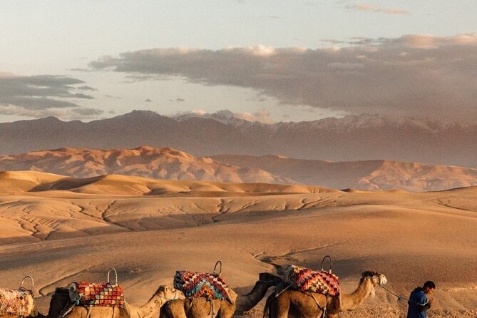 Sunset views with dinner show and came ride tour - Price and value: what you actually get for about $32.65