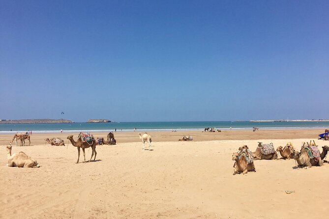 Supratours Marrakech to Essaouira Moroccan Bus Tickets - Service gotchas to watch: e-ticket handoff and baggage rules